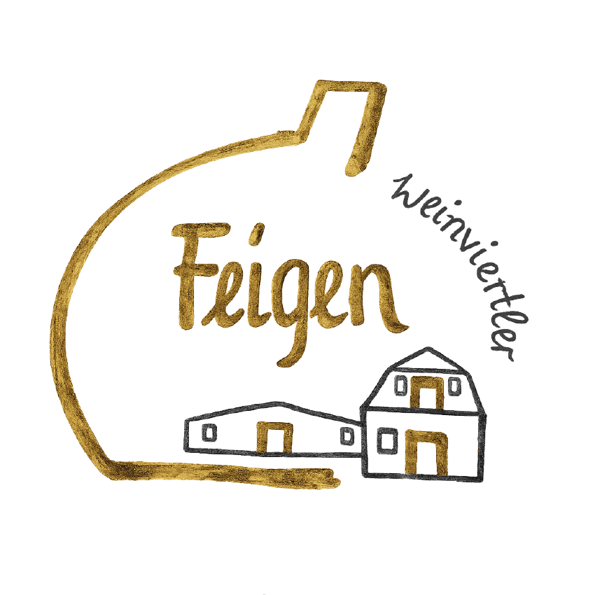 Feigenstecklinge, kaufen, bio, Feigen Stecklinge, Feigen Steckhölzer, fig cuttings, weinviertler Feigen, weinviertler Feige